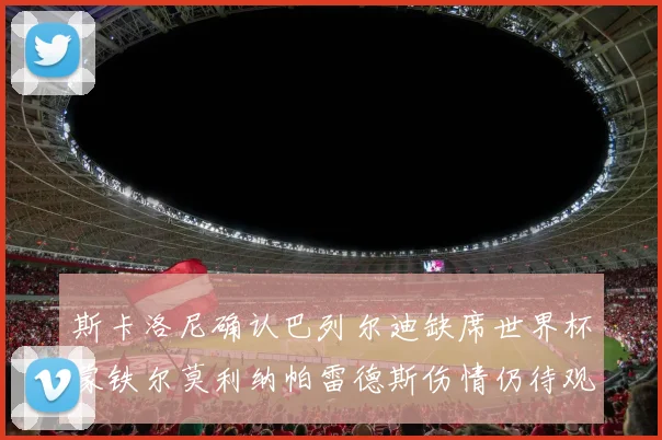 斯卡洛尼确认巴列尔迪缺席世界杯蒙铁尔莫利纳帕雷德斯伤情仍待观察