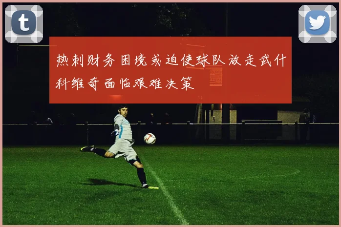 热刺财务困境或迫使球队放走武什科维奇面临艰难决策